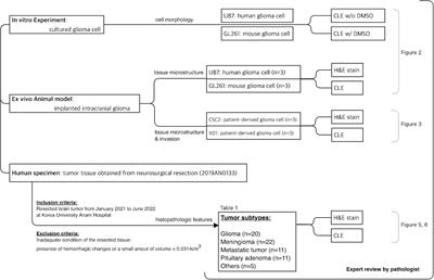 Clinical feasibility of miniaturized Lissajous scanning confocal laser endomicroscopy for indocyanine green-enhanced brain tumor diagnosis